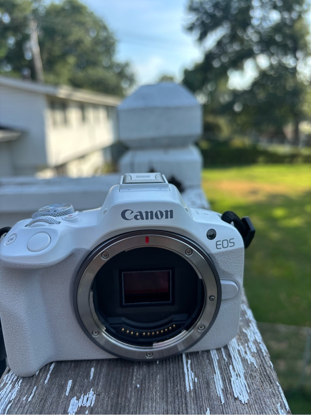 Canon EOS R50 White Camera Body Only - Picture 2 of 8